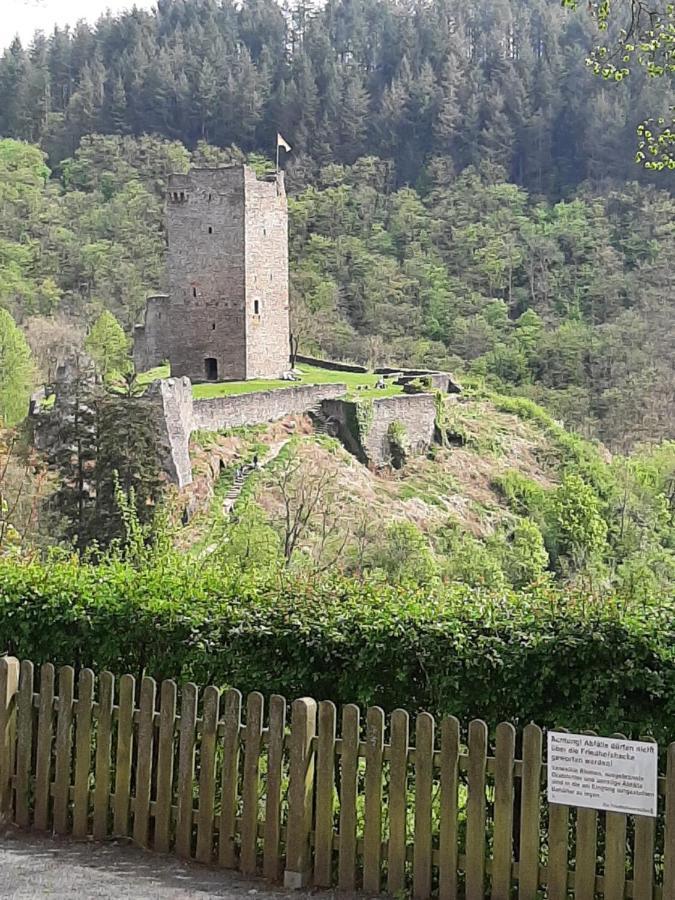 Haus - Pantenburg Manderscheid Bagian luar foto