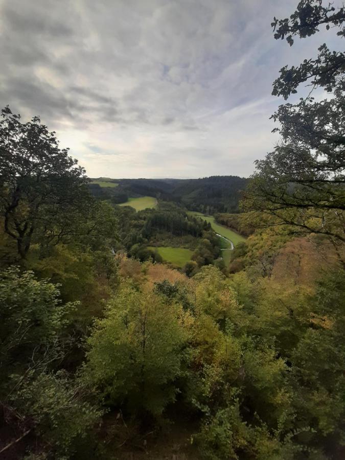 Haus - Pantenburg Manderscheid Bagian luar foto