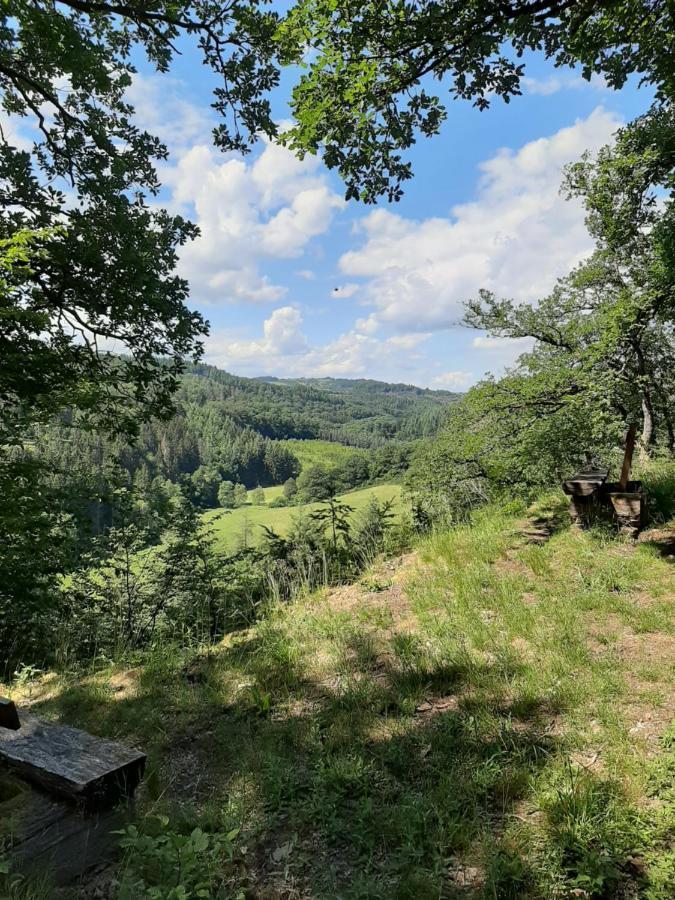 Haus - Pantenburg Bed & Breakfast Manderscheid Bagian luar foto